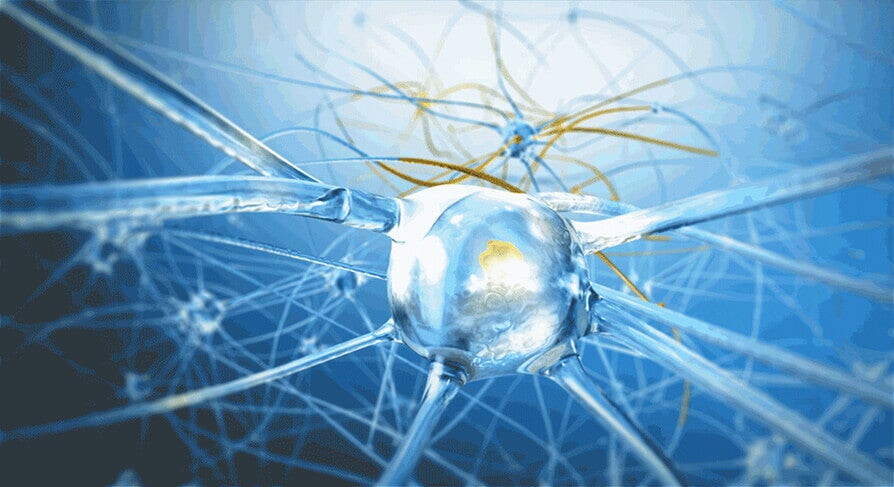 The building block for your child's brain connections