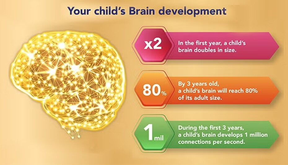 your child's brain development