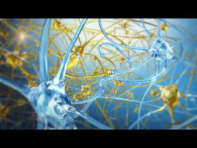 Sphingomyelin - Myelination