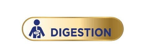 Digestion Digestion